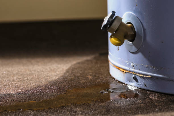 Best Water damage contractors near me  in Bellingham, WA