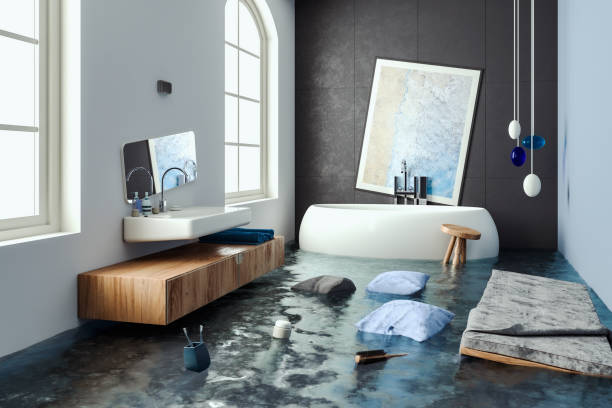 Best Water damage restoration near me  in Bellingham, WA