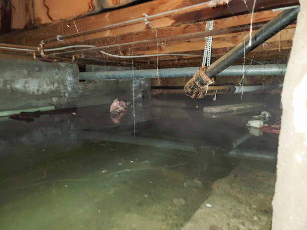 Best Water damage restoration insurance claims  in Bellingham, WA