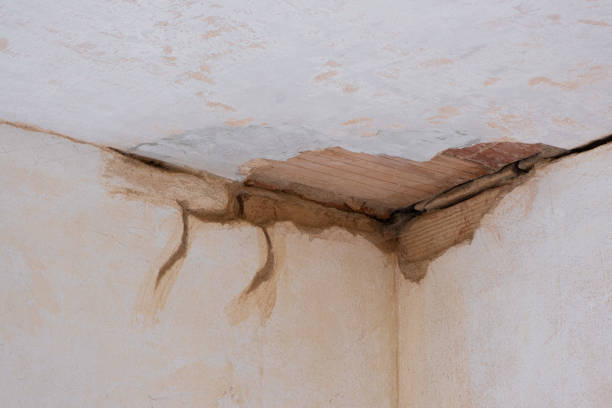Bellingham, WA Water damage restoration Company