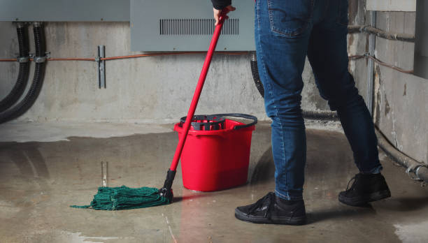Water damage restoration experts in Bellingham, WA