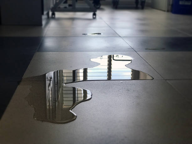 Best 24-hour water damage restoration  in Bellingham, WA