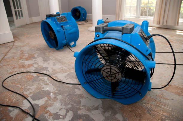 Best Ceiling water damage repair  in Bellingham, WA