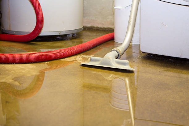 Best Emergency water damage restoration  in Bellingham, WA