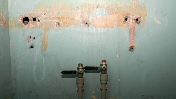 Best Basement water damage restoration  in Bellingham, WA