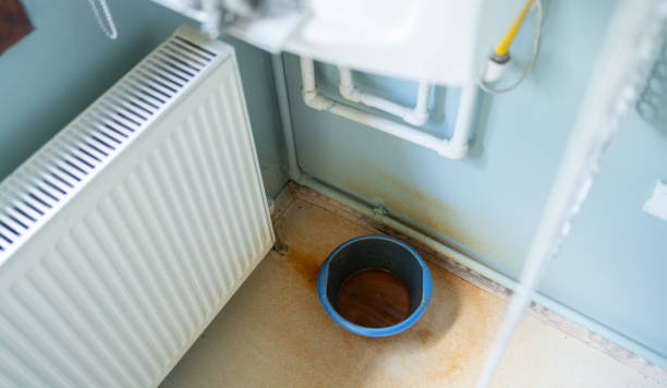 Best Professional water damage repair  in Bellingham, WA