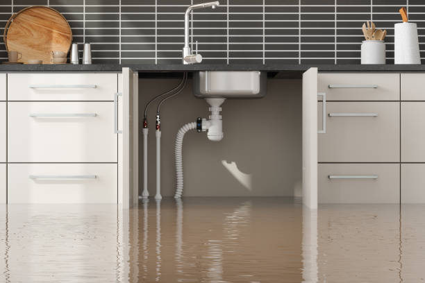 Carpet water damage restoration in Bellingham, WA