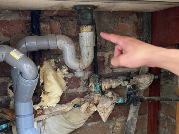 Best Mold removal after water damage  in Bellingham, WA