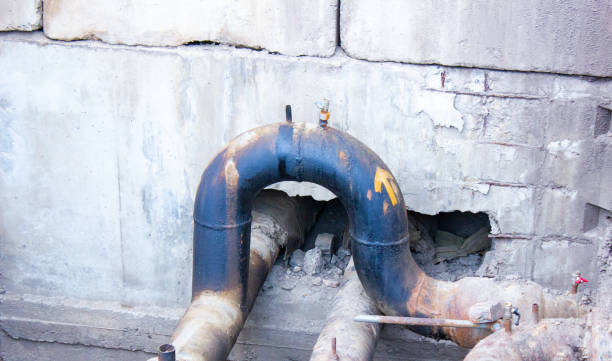 Best Sewage cleanup and water damage restoration  in Bellingham, WA