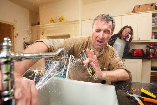 Best Local water damage restoration  in Bellingham, WA